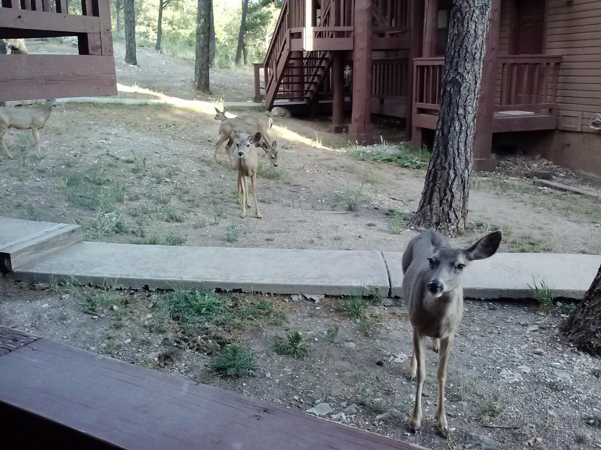 Tiara Del Sol Aparthotel Ruidoso Luaran gambar